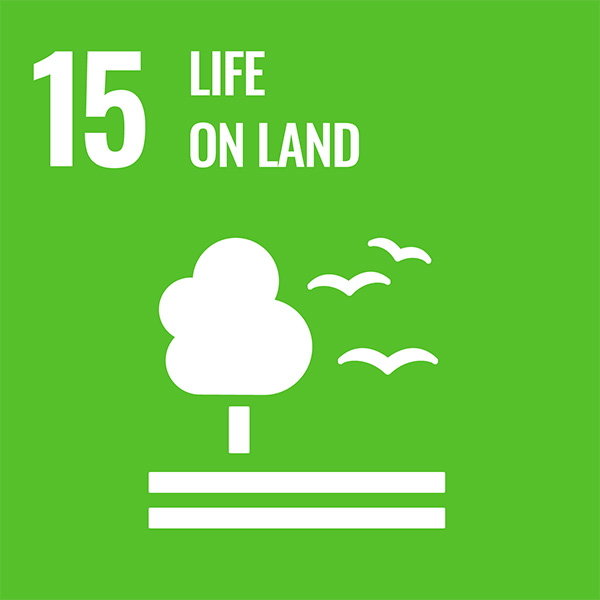 Icon for the UN Sustainable Development Goal 15: Life on Land